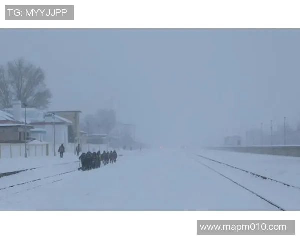 风雪交加!德甲比赛因恶劣天气停止进行 风雪交加!德甲比赛因恶劣天气停止进行